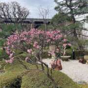 ヒメ日記 2026/03/16 17:04 投稿 春野（はるの） 丸妻 錦糸町店