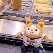 ヒメ日記 2026/03/19 13:03 投稿 春野（はるの） 丸妻 錦糸町店