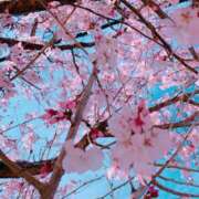 ヒメ日記 2026/04/04 22:41 投稿 ふわり 小田原人妻城