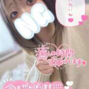 ヒメ日記 2026/03/17 11:33 投稿 うた＠電撃移籍 スピードエコ難波店