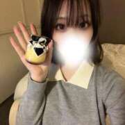 ヒメ日記 2026/04/03 00:48 投稿 未経験！超絶美女まおさん（体験） ロイヤル　アテンダー