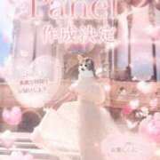 ヒメ日記 2026/05/20 11:07 投稿 みづき The White