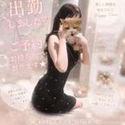 ヒメ日記 2026/05/29 06:01 投稿 みづき The White
