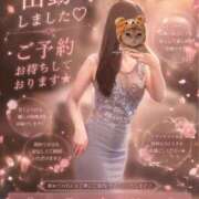 ヒメ日記 2026/06/04 06:07 投稿 みづき The White