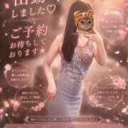 ヒメ日記 2026/06/23 18:20 投稿 みづき The White