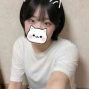 せぶん ねこ🐱 ばつぐん素人プロダクション