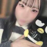 ヒメ日記 2026/04/29 13:48 投稿 ちづる プッシーキャット