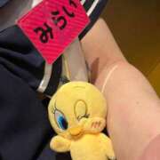 ヒメ日記 2026/04/08 15:34 投稿 みらい プッシーキャット