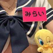 ヒメ日記 2026/05/14 15:48 投稿 みらい プッシーキャット