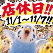 ヒメ日記 2026/10/20 14:50 投稿 うるは プッシーキャット