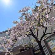 ヒメ日記 2026/04/03 17:34 投稿 夜空りりす プッシーキャット