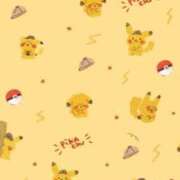 ヒメ日記 2026/04/16 02:03 投稿 夜空りりす プッシーキャット