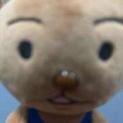 ヒメ日記 2026/04/16 15:13 投稿 ふうか プッシーキャット