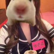 ヒメ日記 2026/04/27 15:33 投稿 ふうか プッシーキャット