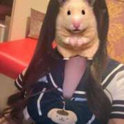 ヒメ日記 2026/04/28 14:57 投稿 ふうか プッシーキャット