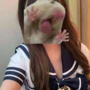 ヒメ日記 2026/05/04 12:27 投稿 ふうか プッシーキャット