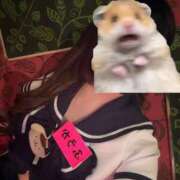 ヒメ日記 2026/06/02 16:03 投稿 ふうか プッシーキャット