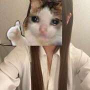 ヒメ日記 2026/06/07 17:19 投稿 ふうか プッシーキャット