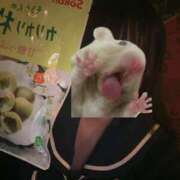 ヒメ日記 2026/06/10 15:34 投稿 ふうか プッシーキャット