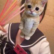 ヒメ日記 2026/10/18 22:01 投稿 ふうか プッシーキャット
