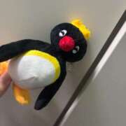 すず 今日もー！ プッシーキャット