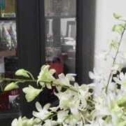 ヒメ日記 2025/02/17 17:53 投稿 のりか 妻天 京橋店