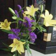 ヒメ日記 2025/03/10 18:29 投稿 のりか 妻天 京橋店