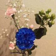 ヒメ日記 2025/03/14 19:23 投稿 のりか 妻天 京橋店