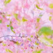 三浦奈々 【お礼写メ日記】 プルデリR40