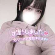 ヒメ日記 2026/04/15 20:06 投稿 つばき ギャルズネットワーク神戸