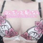 ヒメ日記 2026/04/19 02:26 投稿 つばき クラブバレンタイン神戸西店