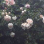 ヒメ日記 2026/03/14 15:01 投稿 寺田 上野CLUB A(クラブ エー)