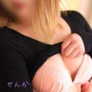 ヒメ日記 2026/03/12 00:30 投稿 せんか 福島駅前ちゃんこ