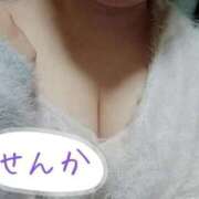 ヒメ日記 2026/03/22 18:39 投稿 せんか 福島駅前ちゃんこ