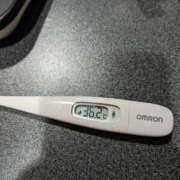 ヒメ日記 2026/03/11 14:37 投稿 ミホ(奥方) 奥様幕府