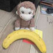 ヒメ日記 2026/03/13 03:16 投稿 ミホ(奥方) 奥様幕府