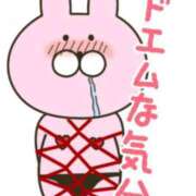 ヒメ日記 2026/03/13 23:47 投稿 ミホ(奥方) 奥様幕府