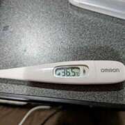 ヒメ日記 2026/03/15 12:37 投稿 ミホ(奥方) 奥様幕府