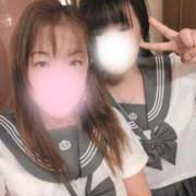 ヒメ日記 2026/03/15 15:47 投稿 ミホ(奥方) 奥様幕府