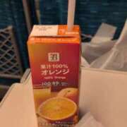 ヒメ日記 2026/03/15 22:47 投稿 ミホ(奥方) 奥様幕府