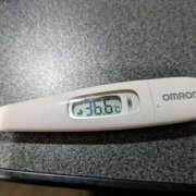 ヒメ日記 2026/03/16 13:47 投稿 ミホ(奥方) 奥様幕府