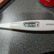 ヒメ日記 2026/03/17 13:41 投稿 ミホ(奥方) 奥様幕府