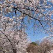 ヒメ日記 2026/04/03 12:48 投稿 まりあ 府中ダービー