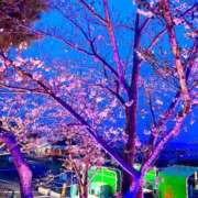 ヒメ日記 2026/04/03 23:38 投稿 まりあ 府中ダービー