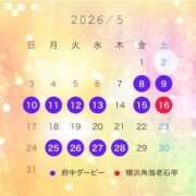 ヒメ日記 2026/05/04 11:28 投稿 まりあ 府中ダービー