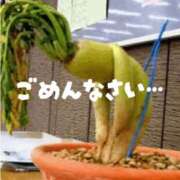 まりあ ごめんなさい… 府中ダービー