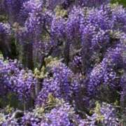 ヒメ日記 2026/03/10 18:45 投稿 るり 奥鉄オクテツ大阪