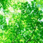 ヒメ日記 2026/03/11 13:20 投稿 るり 奥鉄オクテツ大阪