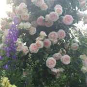 ヒメ日記 2026/03/22 10:45 投稿 るり 奥鉄オクテツ大阪