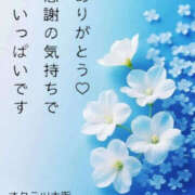 ヒメ日記 2026/03/24 16:35 投稿 るり 奥鉄オクテツ大阪
